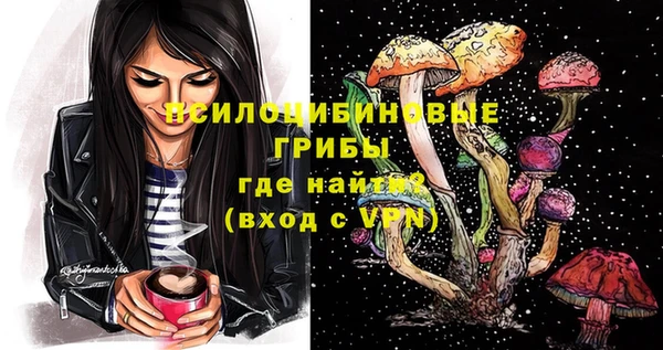альфа пвп Алексеевка