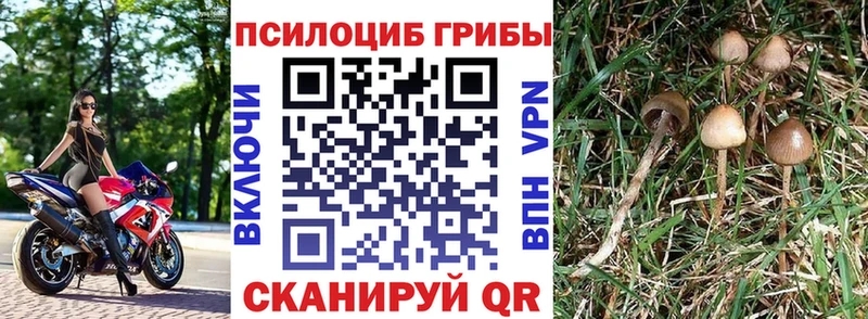 Псилоцибиновые грибы мицелий  Мичуринск 